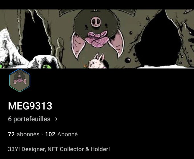 The image shows a social media profile for "MEG9313," a 33-year-old designer and NFT collector with 72 subscribers and 102 followers, featuring a cartoon pig illustration as the banner art. The profile relates to the post by showcasing the user's NFT collection enthusiasm, as they celebrate the appearance of their pig-themed artwork on OpenSea.