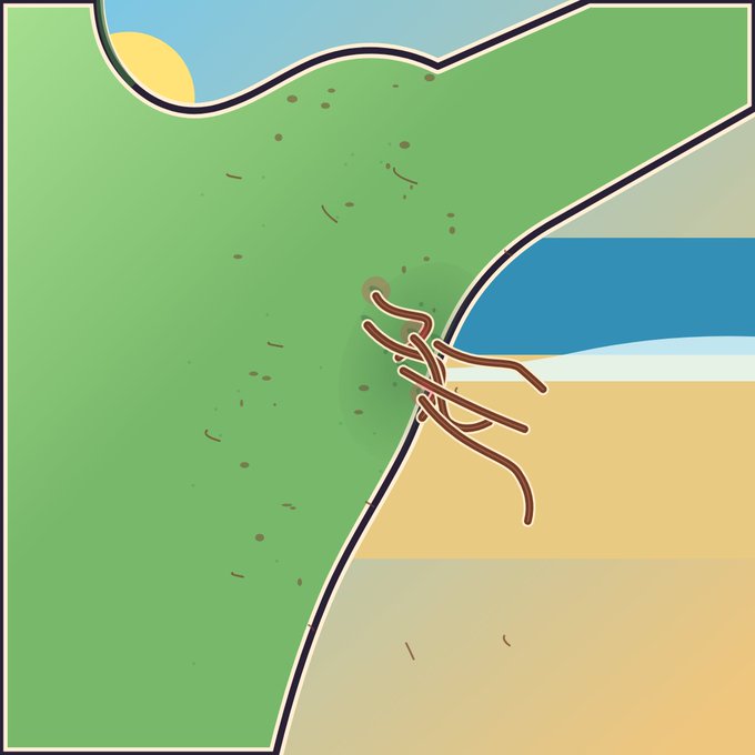 A minimalist digital illustration showing a tree-like or root-like creature partially submerged at the boundary between green land, a blue river, and tan sand.
