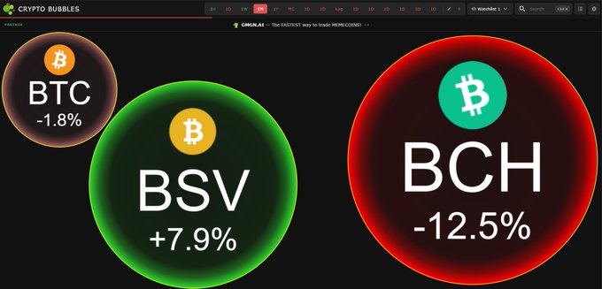 The image shows a Crypto Bubbles dashboard displaying three cryptocurrencies with their performance: BSV up +7.9% (green), BTC down -1.8% (orange), and BCH down -12.5% (red). This visualizes the post's claim that BSV is outperforming other Bitcoin protocols, as it's the only one showing positive gains among the Bitcoin variants shown.