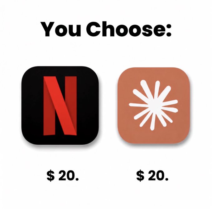 A meme-style image showing the logos of Netflix and another app (likely a Chinese video platform) side by side under the text 'You Choose:', both priced at $20.
