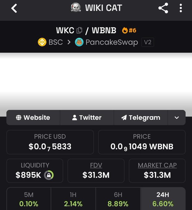 A screenshot of the WIKI CAT (WKC) token page on PancakeSwap V2 showing a current price of $0.005833, a market cap of $31.3M, and a 24H gain of 6.60%, reinforcing the post's message to WKC holders about holding with conviction. The token also ranks #6 with fire emoji on the platform.