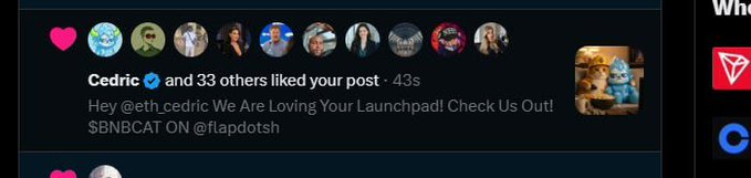 A social media notification shows "Cedric and 33 others liked your post" with text reading "Hey @eth_cedric We Are Loving Your Launchpad! Check Us Out! $BNBCAT ON @flapdoth," supporting the post's claim that $BNBCAT was legitimately launched on Flap, countering the $BICAT narrative.
