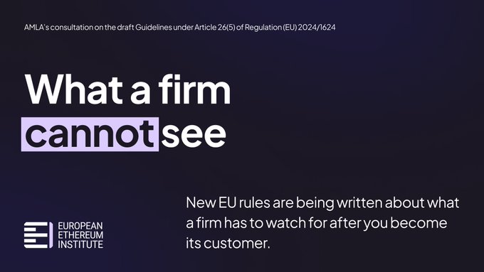 A dark purple slide titled 'What a firm cannot see' from the European Ethereum Institute regarding AMLA's consultation on draft Guidelines under Article 26(5) of Regulation (EU) 2024/1624.