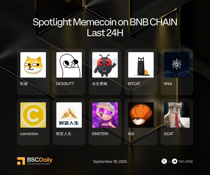 This image is a promotional graphic from BSCDaily showcasing the top-performing memecoins on the BNB Chain in the last 24 hours as of September 18, 2026. It features ten featured tokens arranged in a grid, including 旺柴, DICKBUTT, 永生果蝇, BITCAT, Wire, conviction, 财富人生, EINSTEIN, AGI, and GCAT, each represented with their distinctive character logos and associated social media handles.
