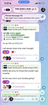A screenshot of "The Don's Hub" Telegram channel shows a member's Robinhood account displaying a +13.09% gain on a $260 dip entry from the prior Sunday, with the post promoting web_3_donn's successful trading results to attract followers to his community.
