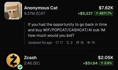 A screenshot of a crypto meme token page showing 'Anonymous Cat' (0.79F ZCAT) priced at $7.62K with a gain of +$9,337, and 'Zcash' (ZEC) priced at $2.05K with a gain of +$51.64.