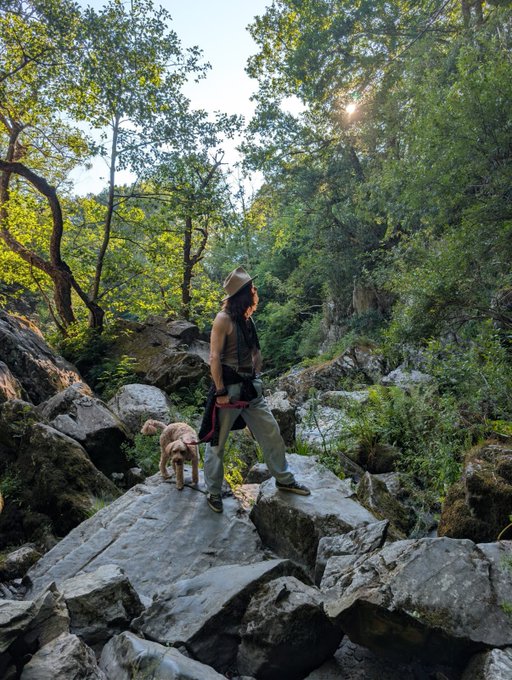 A person with long hair wearing a brown shirt, grey pants, and a crossbody strap stands on large grey rocks in a forest setting alongside a small light brown dog. Sunlight streams through the green trees in the background.