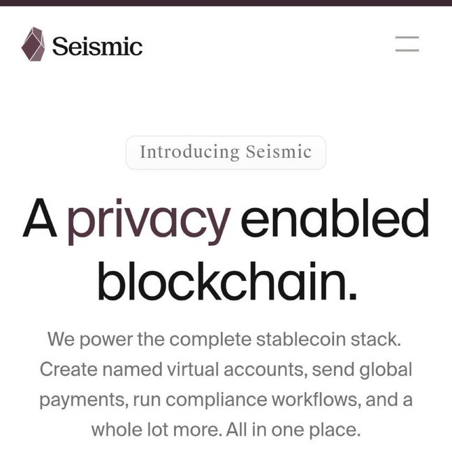 Seismic website homepage introducing "A privacy enabled blockchain," powering the complete stablecoin stack with virtual accounts, global payments, and compliance workflows.