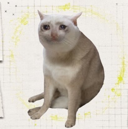 A white cat sits against a background of yellow paint swirls and 'x' marks on graph paper.