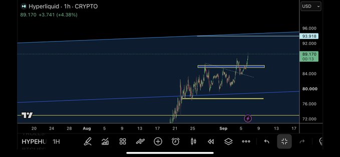 A TradingView chart displays Hyperliquid (HYPE/USD) on the 1-hour timeframe, currently priced at 89.170 (+4.38%), showing recent price action climbing toward a resistance zone near 89.170 within a rising channel, with support marked around 80.000 — illustrating the bullish momentum behind the "$Hype" discussion.