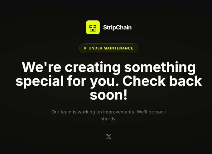 A StripChain website maintenance page displaying 'UNDER MAINTENANCE' badge with the message 'We're creating something special for you. Check back soon!'