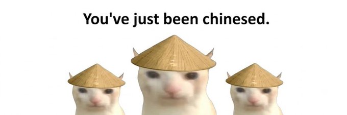Meme image showing three white cats wearing traditional Asian conical bamboo hats with the text 'You've just been chinesed.'