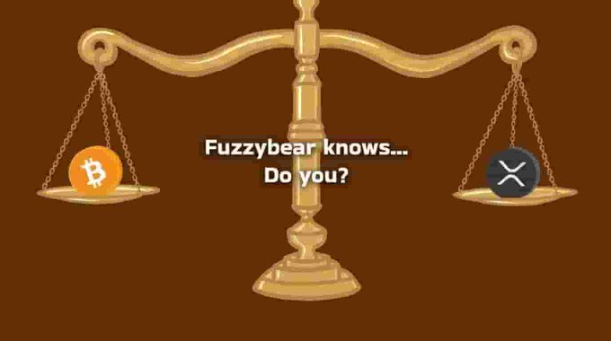 A graphic shows a golden balance scale weighing Bitcoin on one side and XRP on the other, with the text 'Fuzzybear knows... Do you?' in the center.