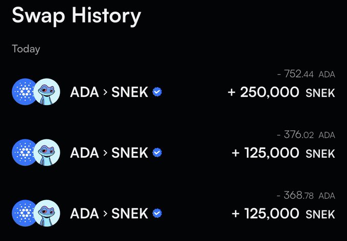 A crypto wallet swap history shows three ADA to SNEK transactions converting 752.44, 376.02, and 368.78 ADA into 250,000, 125,000, and 125,000 SNEK tokens respectively.