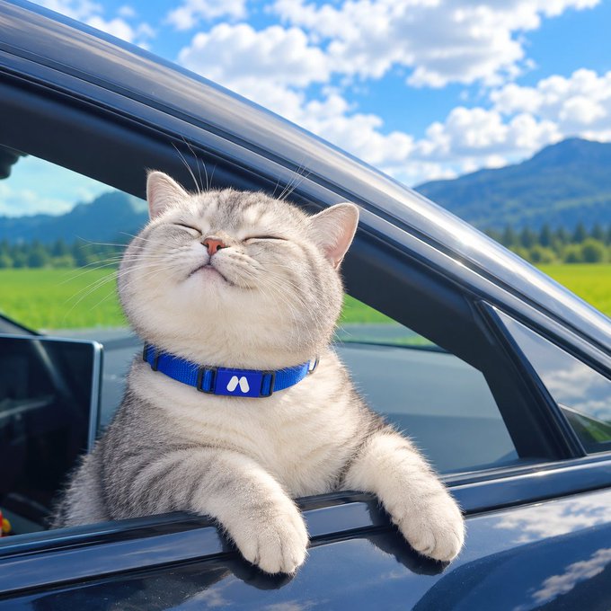 A fluffy gray and white cat leans out of a car window with its eyes closed in contentment, wearing a blue collar, as it enjoys the breeze against a scenic mountain backdrop—mirroring the post's "catching some fresh air" theme. The relaxed feline symbolizes GM's laid-back confidence in pursuing "fresh opportunities" on the open road ahead.