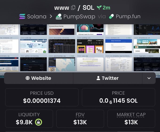 A cryptocurrency trading interface displays the 'www' token on the Solana network via PumpSwap/Pump.fun, with price at $0.000001374 USD (0.0₆1145 SOL), liquidity of $9.8K, FDV of $13K, and market cap of $13K.