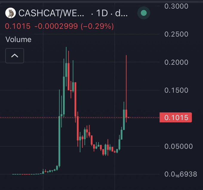 The image shows a 1D candlestick chart for the CASHCAT/WETH trading pair, with a current price of 0.1015 (down 0.29%) and a recent high near 0.2300 before a sharp selloff back to lows around 0.0500. This visual supports the post's claim that the Robinhood listing served as an exit liquidity event, as the chart depicts a clear pump-and-dump pattern consistent with bearish market sentiment.
