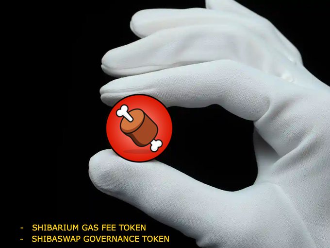 White-gloved hand holding a red coin with a bone emblem representing **SHIB** (Shiba Inu) - notes call out 'SHIBARIUM GAS FEE TOKEN' and 'SHIBASWAP GOVERNANCE TOKEN'.