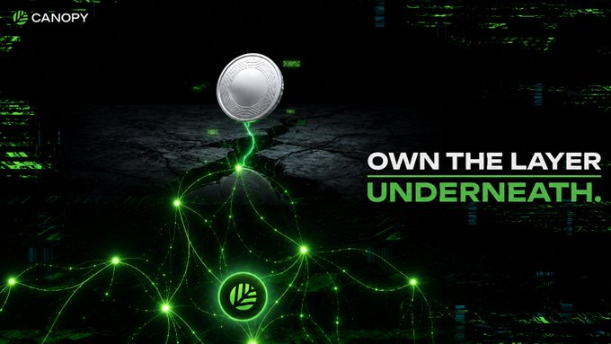 The image features an advertisement for a cryptocurrency called "CNPY Network" that promotes the idea of creating assets independently, rather than relying on others' systems or networks. The text in the image emphasizes this concept by stating "Own the Layer Underneath." This message encourages users to take control of their own digital assets and not depend on external sources.