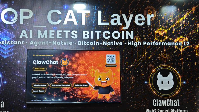 A promotional display for 'OP_CAT Layer' with the tagline 'AI MEETS BITCOIN' advertises 'ClawChat', a Web3 Social Platform described as Bitcoin-Native, Agent-Ready, and End-to-End Encrypted.