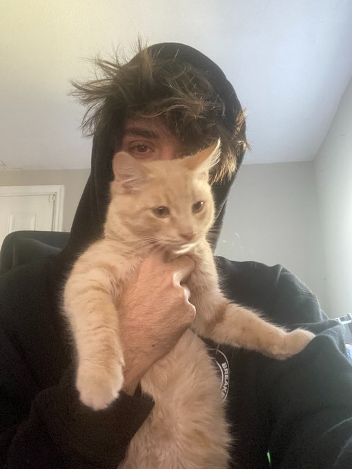 A person wearing a hoodie is holding an orange tabby cat up to the camera for a selfie, with the cat's legs dangling.