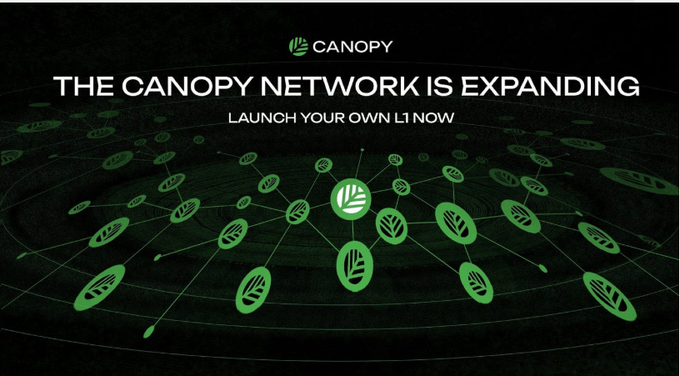 A promotional banner for Canopy network displaying 'THE CANOPY NETWORK IS EXPANDING' and 'LAUNCH YOUR OWN L1 NOW' with green logo nodes connected across a dark background.