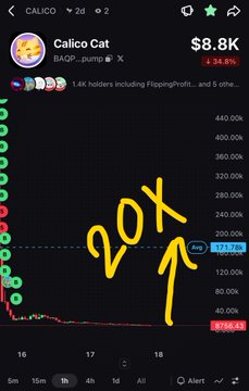 A financial chart shows a meme coin 'Calico Cat' with a market cap of $8.8K, featuring yellow handwritten '20X' text and an arrow pointing upward.