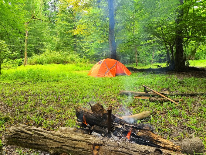 An orange tent is set up in a lush green forest clearing, with a smoky campfire burning on logs in the foreground.