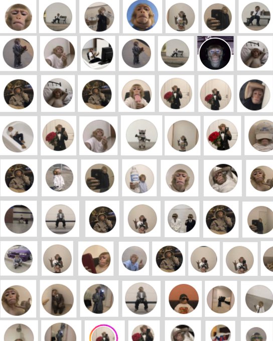 A grid of circular profile pictures featuring various selfies, random objects, and photos of people, animals, and items. The collage serves as a visual rallying call for users to change their Instagram (IG) profile pictures (PFPs) to join the associated "cult" or group trend, now being extended to CT (possibly referring to another platform).