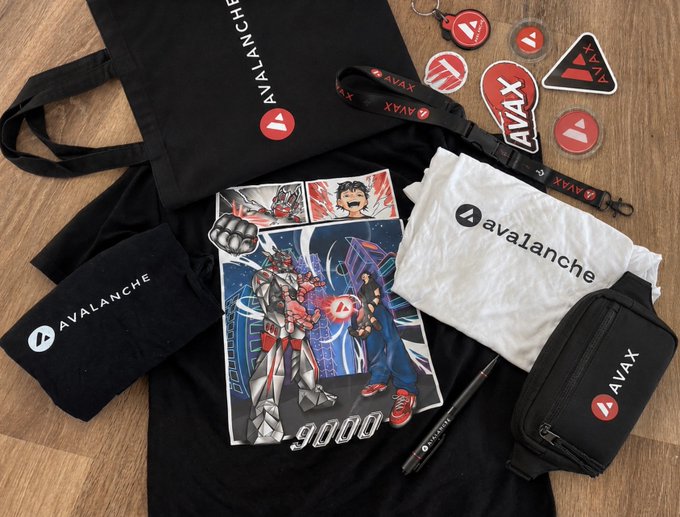 The image features a collection of merchandise including T-shirts and keychains related to the video game "Avast." These items are organized on a table or desk, with some placed near each other and others individually arranged. The scene includes various merchandise such as a backpack, a handbag, and multiple t-shirts depicting characters from the game. One t-shirt is particularly noticeable for its unique design featuring two robot figures. There is also an AVAX keychain displayed among the collection of items, adding to the gaming theme. In the background, there are some stickers with the company name "AVALANCHE" printed on them. Overall, the image showcases a diverse assortment of merchandise related to Avast and its characters.