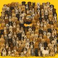A collage of dozens of Shiba Inu dogs, the iconic "Doge" meme faces, is arranged against a yellow background with a large, faded Doge face centered behind them, fitting the caption "Real Doge Father." The repetitive meme imagery emphasizes the cultural meme status of the Doge, with no visible text or numbers.