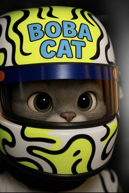 Close-up of a cat wearing a yellow and white racing helmet with the text 'BOBA CAT' in blue letters.