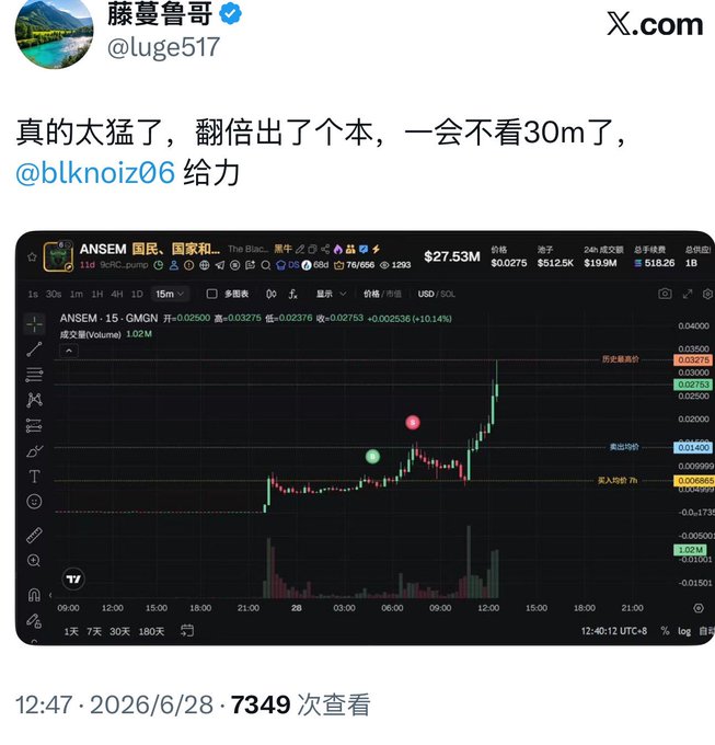 A tweet by 藤蔓鲁哥 (@luge517) showing a cryptocurrency trading chart for ANSEM, 国家积... with the caption '真的太猛了，翻倍出了个本，一会不看30m了' tagged @blknoiz06, posted at 12:47 on 2026/6/28 with 7349 views.