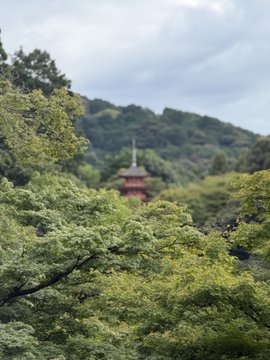 A scenic view of a traditional Japanese pagoda visible through lush green tree foliage on a mountainside under an overcast sky.