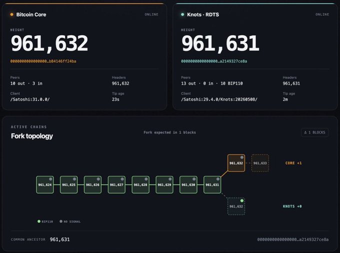 The image shows a Bitcoin node monitoring dashboard displaying Bitcoin Core at height 961,632 and Knots-RDTS at height 961,631, with a fork topology diagram indicating BIP110 has only +1 block on the Core chain versus +0 on Knots. This visualizes the post's claim that the BIP110 fork has officially failed, as the common ancestor sits at block 961,631 with no meaningful divergence between implementations.