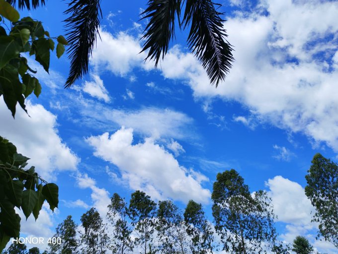 A photograph taken with an HONOR 400 phone showing a bright blue sky filled with fluffy white clouds, framed by palm fronds at the top and treetops at the bottom.