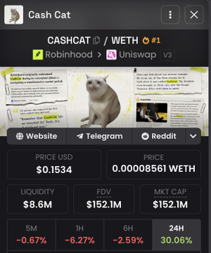 The image displays a cryptocurrency tracker dashboard for **CASHCAT (WETH)**, priced at **$0.1534** with a **30.06% gain in 24 hours**. It relates to the post by presenting performance metrics and the cute cat mascot to help compare whether to invest in **$CASHCAT** versus **$ANSEM** with $10,000.