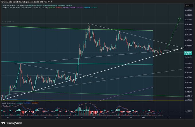 A TradingView candlestick chart showing VeChain (VET/USDT) price action with technical analysis lines, triangles, and an RSI indicator at the bottom, dated around September 2020.