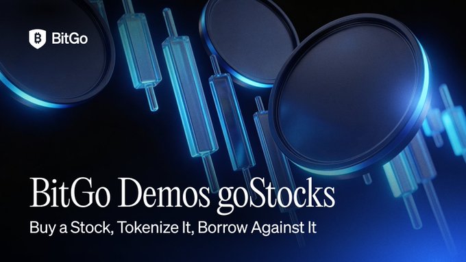 BitGo's logo appears in the top left corner alongside a stylized graphic of interconnected oval and rectangular shapes resembling a blockchain network, with the headline "BitGo Demos goStocks" and tagline "Buy a Stock, Tokenize It, Borrow Against It." The image visually represents the tokenization infrastructure BitGo demonstrated during their earnings call, supporting the $SPCX to goSPCX equity tokenization loop described in the post.