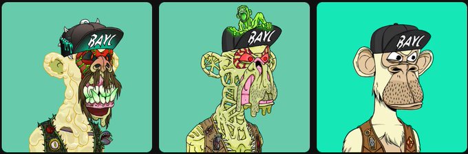 A triptych of Bored Ape Yacht Club (BAYC) NFT illustrations featuring zombie and mutated ape designs wearing 'BAYC' caps, set against a teal background.