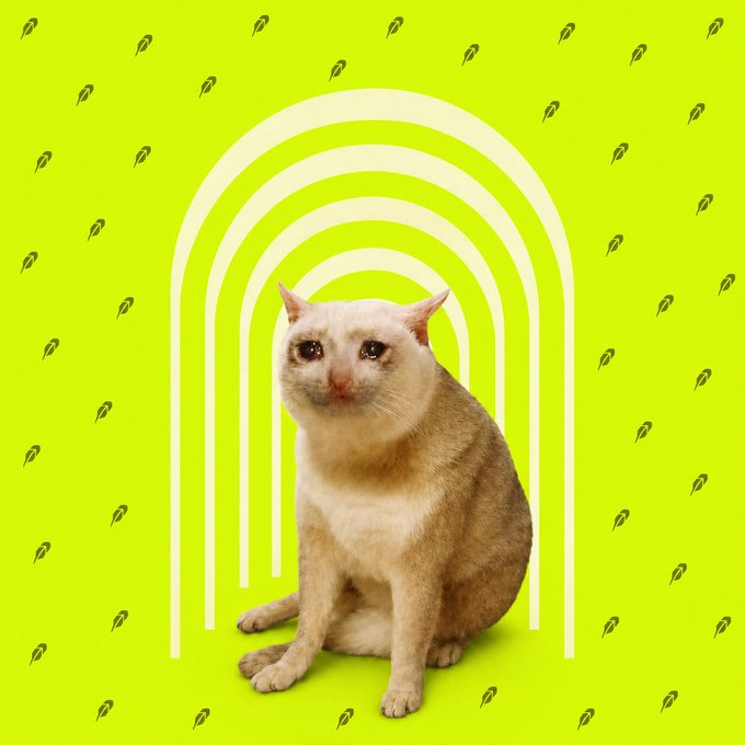 A cream-colored cat sits in front of a white rainbow arch against a bright lime-green background patterned with small leaf motifs.