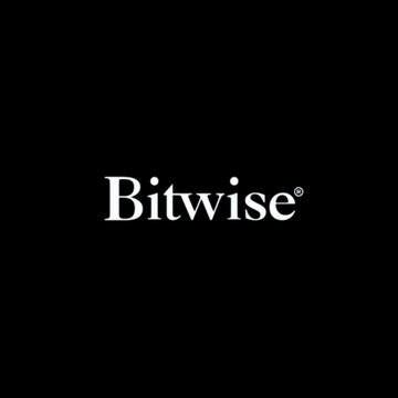 A black logo screen displaying the word 'Bitwise' in white serif font with a small registered trademark symbol.