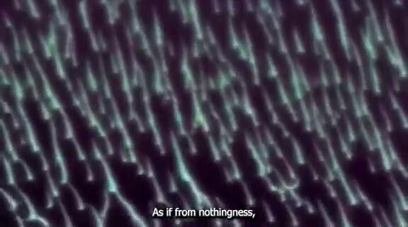 None