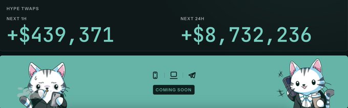 A crypto website banner showing 'HYPE TWAPS' with trading volumes of +$439,371 in the next 1H and +$8,732,236 in the next 24H, featuring two cartoon cat mascots and a 'COMING SOON' button.