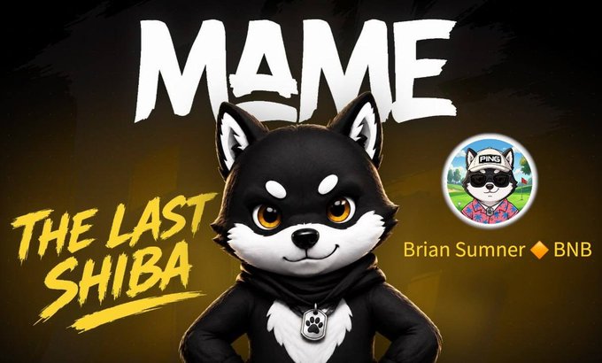 The image features a cartoon dog wearing a black outfit with white spots standing against a dark background. The text "MAME" is written above the dog's head, while "THE LAST SHiba" is below its head. A person's name, Brian Summer, can be seen in the bottom right corner of the image.