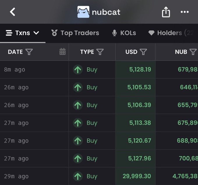A transaction history table for 'nubcat' shows a series of recent 'Buy' transactions, with USD values around $5,100 and NUB token amounts in the hundreds.