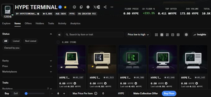 The HYPE TERMINAL NFT marketplace interface showing floor price 0.60 HYPE and a list of vintage computer-themed items priced around 0.60 HYPE.