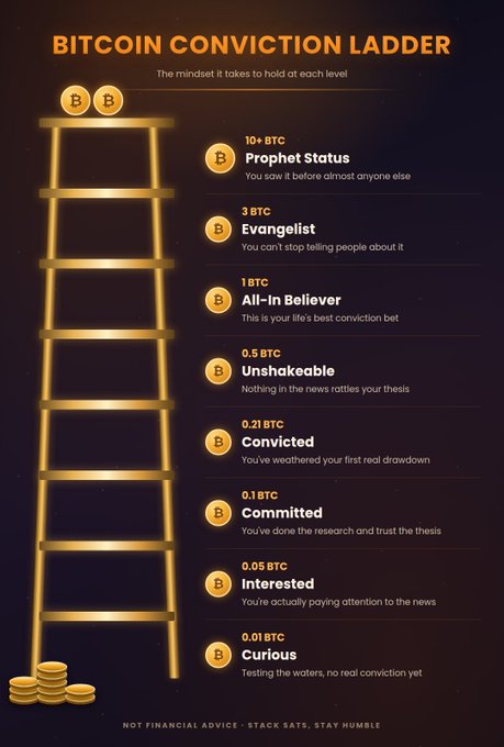 A golden ladder graphic titled "Bitcoin Conviction Ladder" displays eight tiers of crypto investment conviction, ranging from "0.01 BTC - Curious" at the bottom to "10+ BTC - Prophet Status" at the top, with corresponding mindframe descriptions like "You've weathered your first real drawdown" at the 0.21 BTC Convicted level. The accompanying post expands on each tier's mindset, reinforcing the visual's message about how stack size reflects belief strength, with a disclaimer noting "NOT FINANCIAL ADVICE - STACK SATS, STAY HUMBLE."