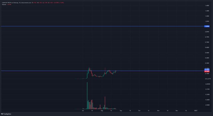 A candlestick chart of CASH/USDT on a 15-minute timeframe shows price action around $0.2621 after a brief volatility spike in early September, supporting the poster's skepticism about $cashcat's rapid listing on Bybit perps and cautioning others to either go all-in or stay out.