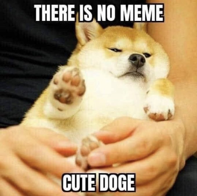 A small, fluffy Shiba Inu puppy is being cradled in someone's arms with a relaxed, almost resigned expression. Bold white text overlays the image reading "THERE IS NO MEME" at the top and "CUTE DOGE" at the bottom—self-referentially playing on the post's caption by denying that the adorable photo qualifies as a meme, despite clearly being one.